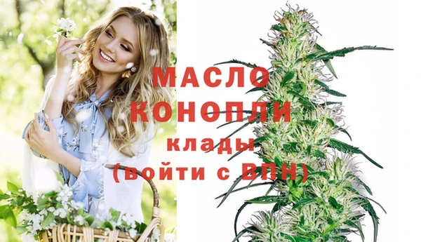 сатива Армянск