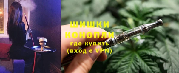 сатива Армянск